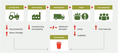 Building the resilience of agri-food systems to compounding shocks and stresses: A case study from Melbourne, Australia